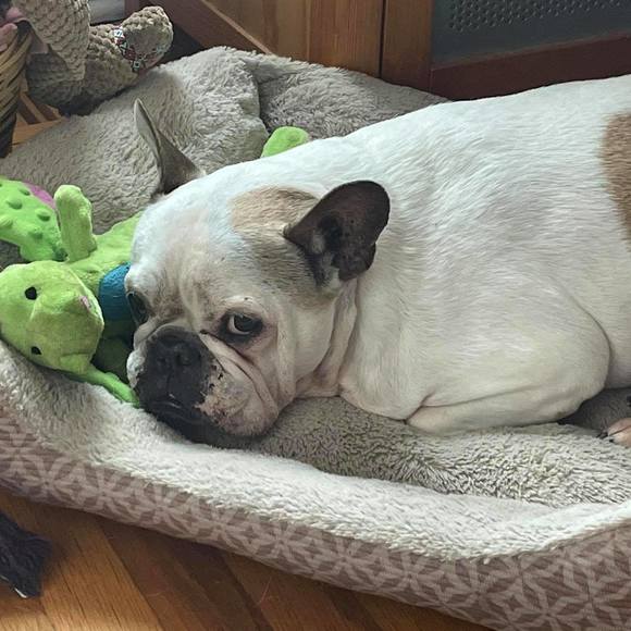 Meet your Posher, Debbie - Picture 1 of 1